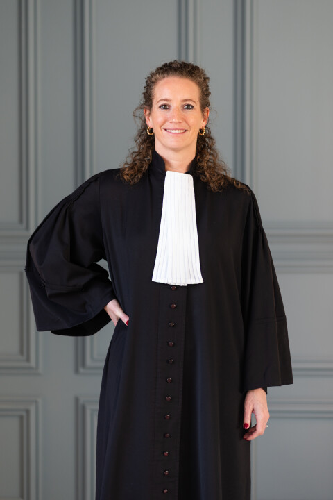 Rechtsgebieden